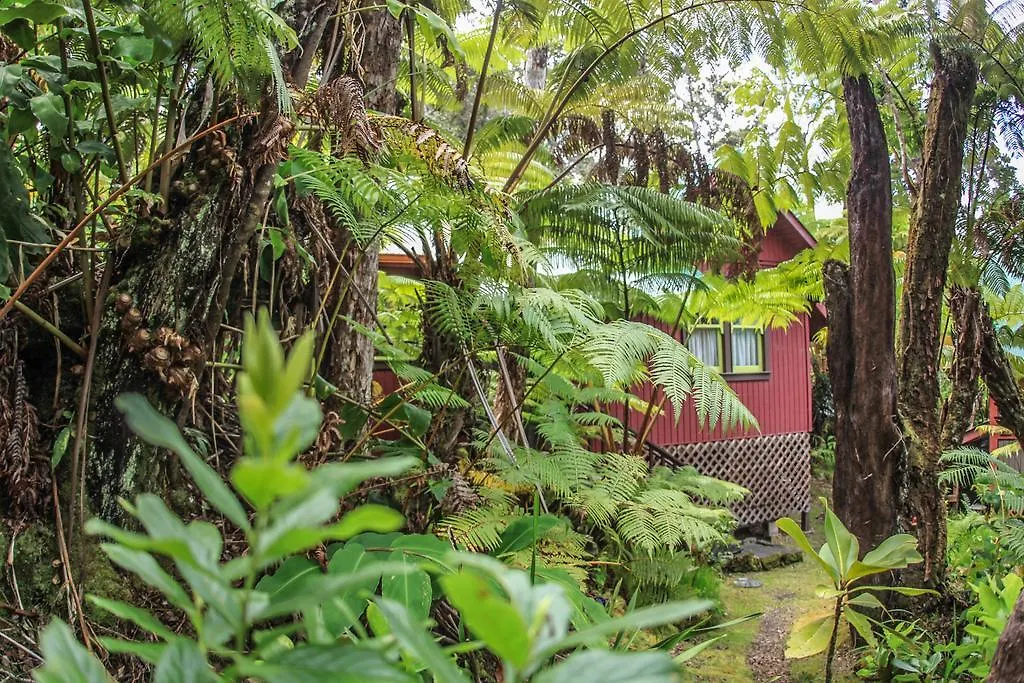 Ferny Hollow: Romantic Rainforest Cottage Volcano 0*,